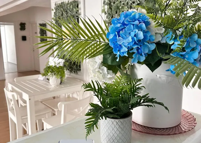 Pasithea Daire Larnaca